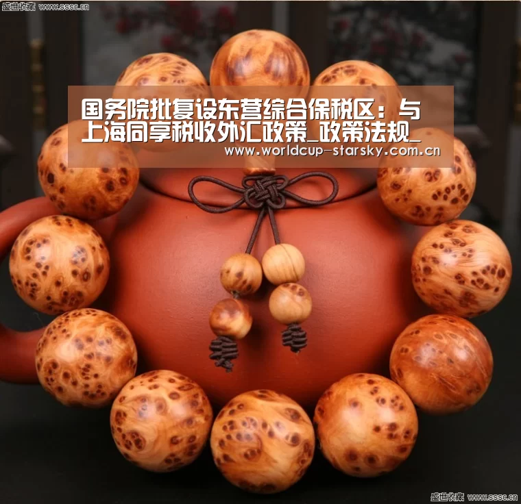 星空平台