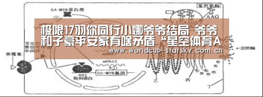 星空官网