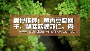 星空官网