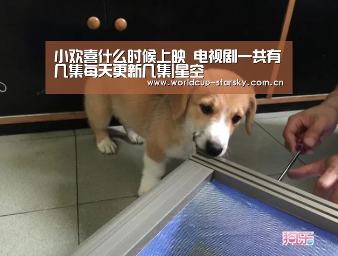 星空官网