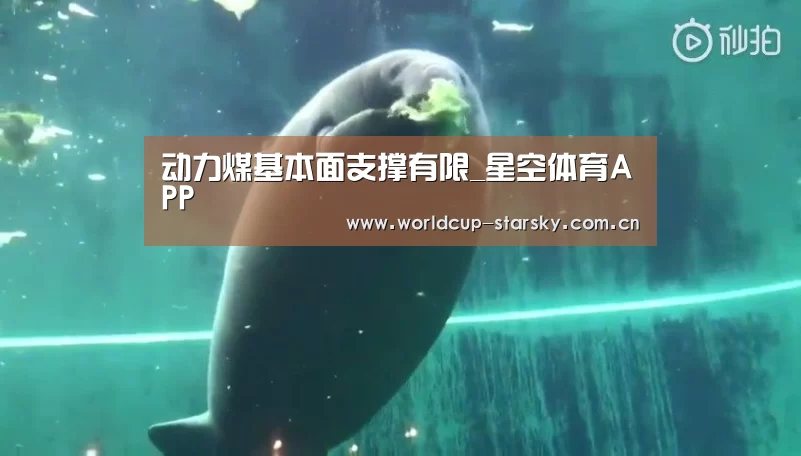 星空体育APP
