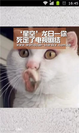 星空平台