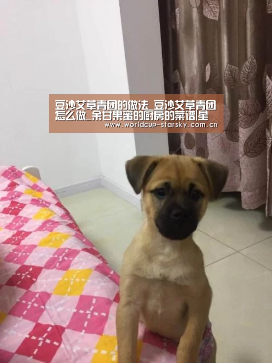 豆沙艾草青团的做法_豆沙艾草青团怎么做_余甘果蜜的厨房的菜谱|星空(图3) 星空